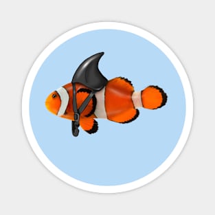 Clownfish, Shark Motivational, Funny Ocean Animal Magnet